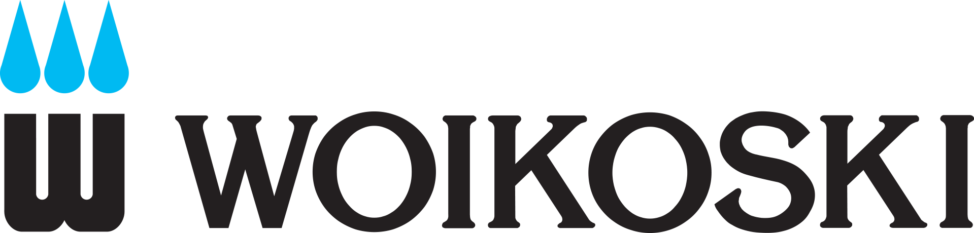 Woikoski logo