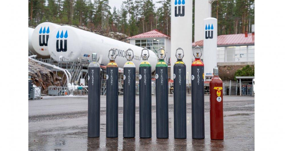 Food and beverage gases